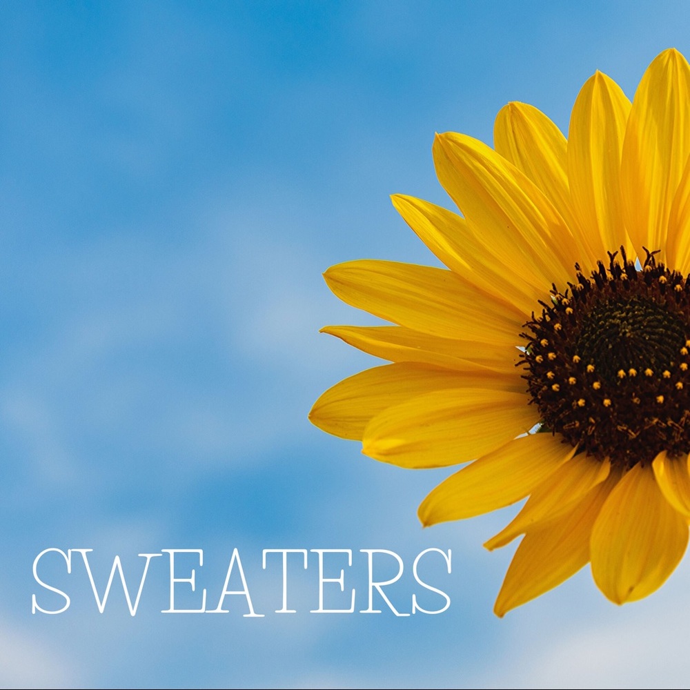 SWEATERS